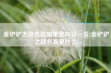 金铲铲之战名流加里奥阵容一览(金铲铲之战名流是什么)
