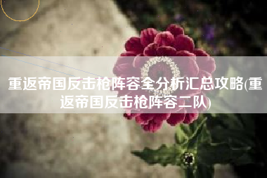 重返帝国反击枪阵容全分析汇总攻略(重返帝国反击枪阵容二队)
