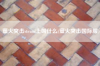 萤火突击steam上叫什么(萤火突击国际服)