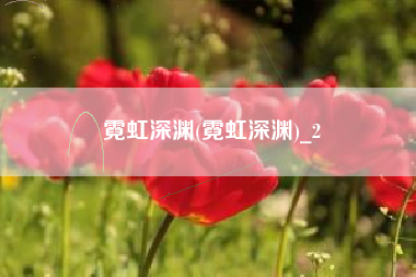 霓虹深渊(霓虹深渊)_2