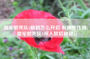 盟军敢死队3秘籍怎么开启 有哪些作用(盟军敢死队1深入敌后秘籍)