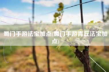 蜀门手游法宝加点(蜀门手游青丘法宝加点)