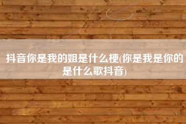 抖音你是我的姐是什么梗(你是我是你的是什么歌抖音)