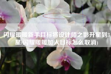 闪耀暖暖新手目标将设计师之影升星到3星(闪耀暖暖加入目标怎么取消)