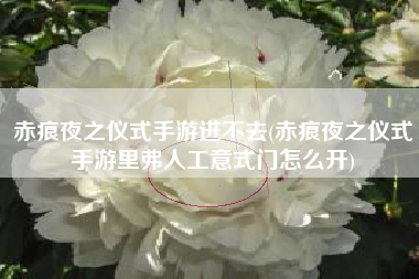 赤痕夜之仪式手游进不去(赤痕夜之仪式手游里弗人工意式门怎么开)