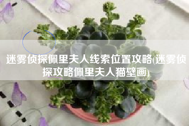 迷雾侦探佩里夫人线索位置攻略(迷雾侦探攻略佩里夫人猫壁画)