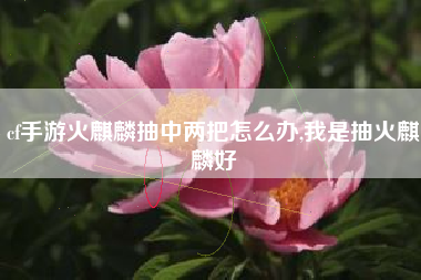 cf手游火麒麟抽中两把怎么办,我是抽火麒麟好