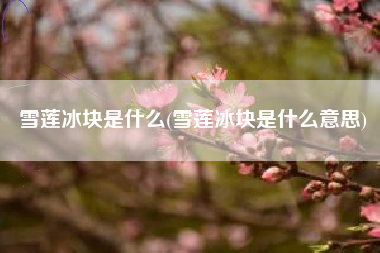 雪莲冰块是什么(雪莲冰块是什么意思)