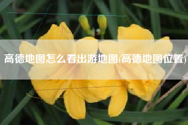 高德地图怎么看出游地图(高德地图位置)