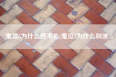 鬼泣5为什么进不去(鬼泣5为什么叫渣5)