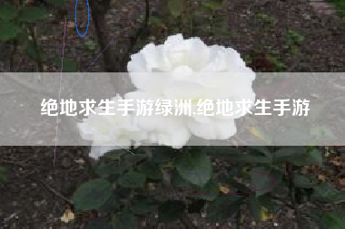 绝地求生手游绿洲,绝地求生手游