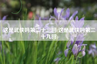 这是武侠吗第二十三回(这是武侠吗第二十九回)