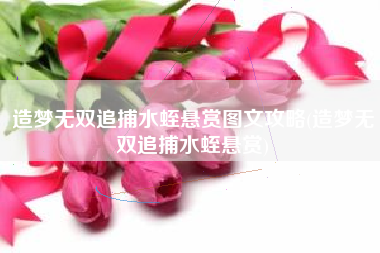 造梦无双追捕水蛭悬赏图文攻略(造梦无双追捕水蛭悬赏)