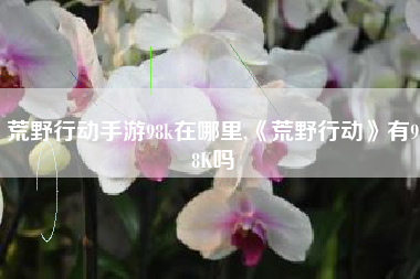 荒野行动手游98k在哪里,《荒野行动》有98K吗