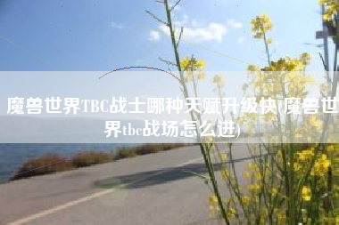 魔兽世界TBC战士哪种天赋升级快(魔兽世界tbc战场怎么进)