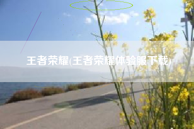 王者荣耀(王者荣耀体验服下载)