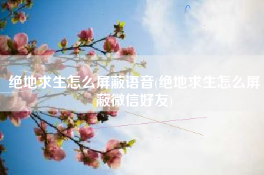绝地求生怎么屏蔽语音(绝地求生怎么屏蔽微信好友)