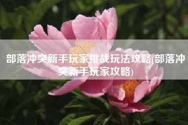 部落冲突新手玩家挑战玩法攻略(部落冲突新手玩家攻略)