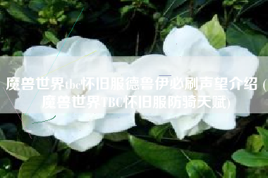 魔兽世界tbc怀旧服德鲁伊必刷声望介绍 (魔兽世界TBC怀旧服防骑天赋)