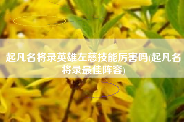 起凡名将录英雄左慈技能厉害吗(起凡名将录最佳阵容) 起凡名将录英雄左慈技能厉害吗(起凡名将录最佳阵容)