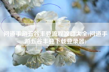 问道手游五谷丰登流程攻略大全(问道手游五谷丰登下载登录器)