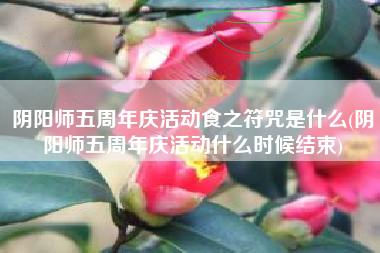 阴阳师五周年庆活动食之符咒是什么(阴阳师五周年庆活动什么时候结束)