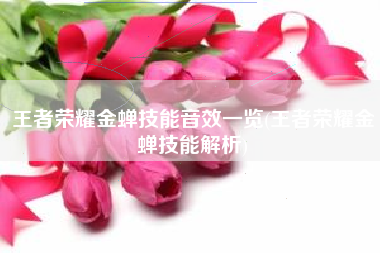 王者荣耀金蝉技能音效一览(王者荣耀金蝉技能解析)