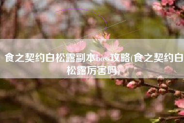 食之契约白松露副本boss攻略(食之契约白松露厉害吗)