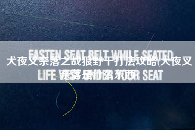 犬夜叉奈落之战狼野干打法攻略(犬夜叉奈落是什么东西)