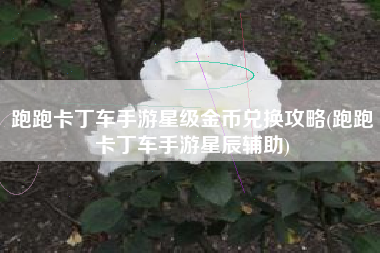 跑跑卡丁车手游星级金币兑换攻略(跑跑卡丁车手游星辰辅助)