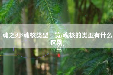 魂之刃2魂核类型一览(魂核的类型有什么区别)