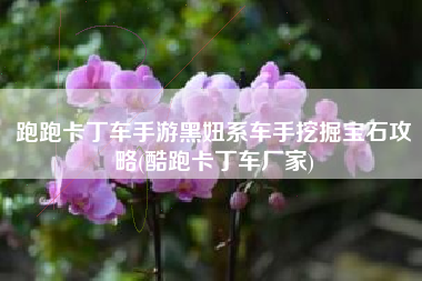 跑跑卡丁车手游黑妞系车手挖掘宝石攻略(酷跑卡丁车厂家)