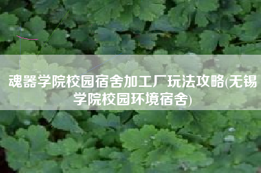 魂器学院校园宿舍加工厂玩法攻略(无锡学院校园环境宿舍)