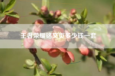 王者荣耀铭文页多少钱一套