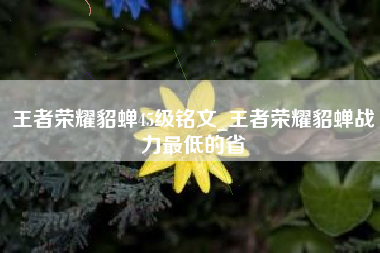 王者荣耀貂蝉45级铭文_王者荣耀貂蝉战力最低的省