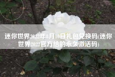 迷你世界2022年8月10日礼包兑换码(迷你世界2022官方给的永久激活码)
