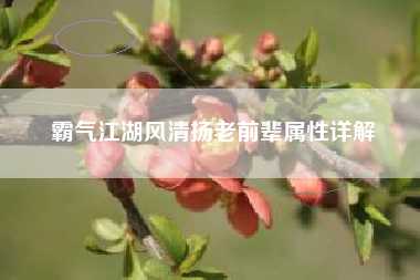 霸气江湖风清扬老前辈属性详解