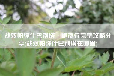战双帕弥什巴别塔·岖夜行完整攻略分享(战双帕弥什巴别塔在哪里)