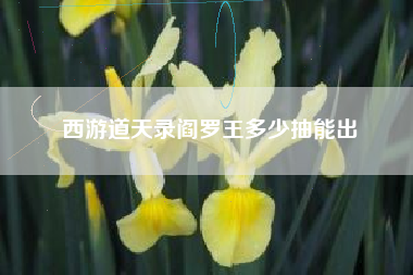 西游道天录阎罗王多少抽能出