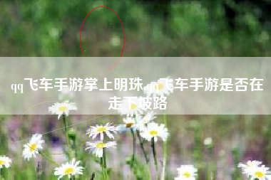 qq飞车手游掌上明珠,qq飞车手游是否在走下坡路