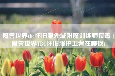 魔兽世界tbc怀旧服外域附魔训练师位置 (魔兽世界TBC怀旧服护卫者在哪换)