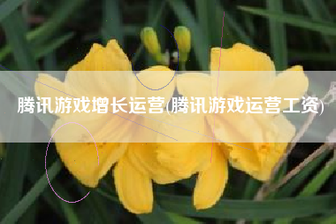 腾讯游戏增长运营(腾讯游戏运营工资)