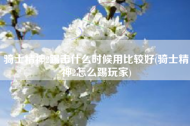 骑士精神2踢击什么时候用比较好(骑士精神2怎么踢玩家)