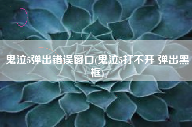 鬼泣5弹出错误窗口(鬼泣5打不开 弹出黑框)