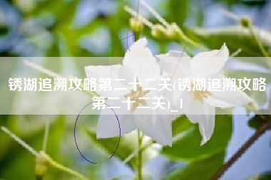 锈湖追溯攻略第二十二关(锈湖追溯攻略第二十二关)_1