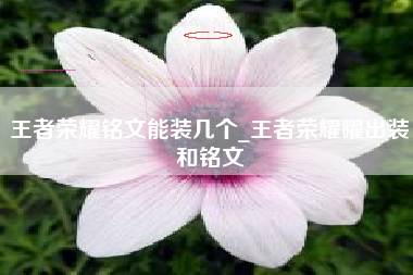 王者荣耀铭文能装几个_王者荣耀曜出装和铭文