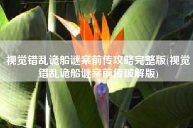 视觉错乱诡船谜案前传攻略完整版(视觉错乱诡船谜案前传破解版)