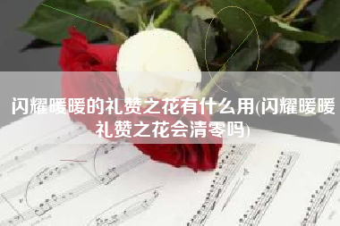 闪耀暖暖的礼赞之花有什么用(闪耀暖暖礼赞之花会清零吗)
