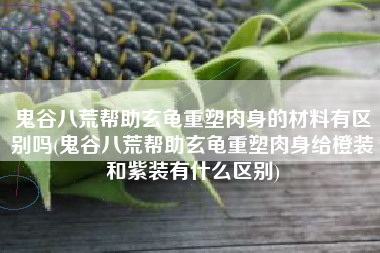 鬼谷八荒帮助玄龟重塑肉身的材料有区别吗(鬼谷八荒帮助玄龟重塑肉身给橙装和紫装有什么区别)