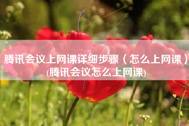 腾讯会议上网课详细步骤（怎么上网课）(腾讯会议怎么上网课)